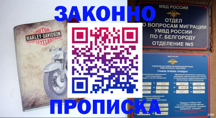 прописка для школы в Дубне